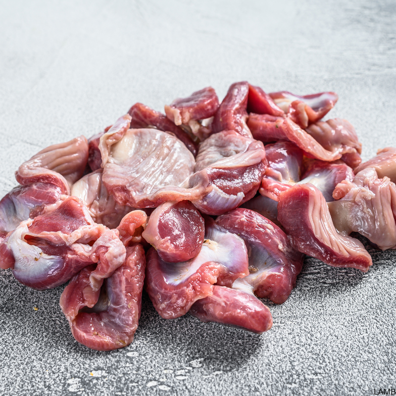 Chicken Gizzard